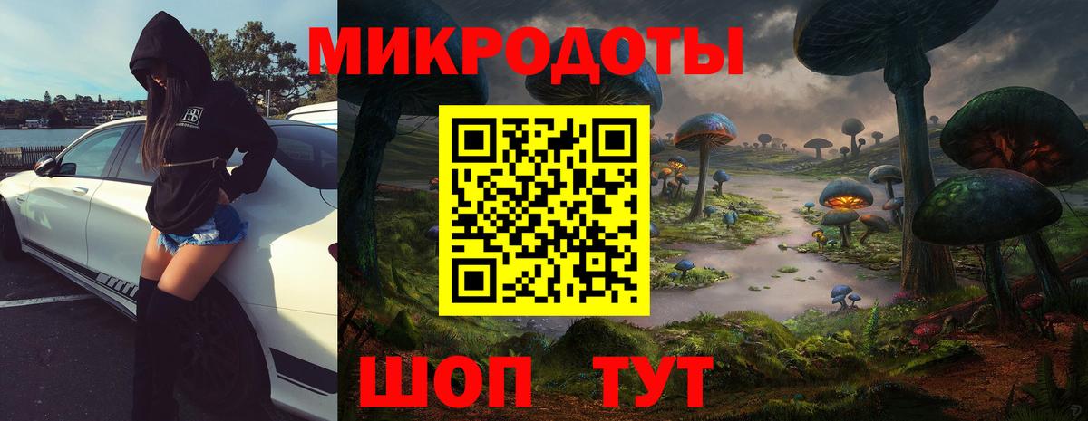 Северск  где можно купить   Вход с VPN  Галлюциногенные грибы GOLDEN TEACHER 